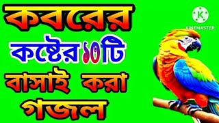 আমার পাগল মন ঐ মদিনার প্রেমে পড়েছে Nice Ghazal tv 🌹 amar pagol mon Oi modinar prem poreche [upl. by Bea]