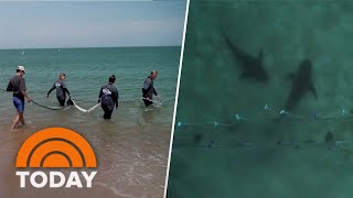 Inside look at new technology that aims to prevent shark attacks [upl. by Chapnick]