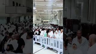 Safa marwa safamarwa madina madinah pakistan saudiarabia shortvideo shorts makkah live madina [upl. by Enrobialc]