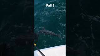 This Is How NOT To Net Nearshore or Offshore Cobia [upl. by Winifield994]