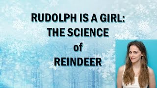 Rudolph is a Girl  The Science of Reindeer [upl. by Aronael]