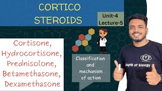 Corticosteroids  Cortisone  Hydrocortisone  Prednisolone  Betamethasone  Dexamethasone [upl. by Mateusz936]