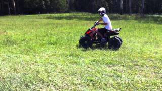 Atomik Feral 250cc atv Quad bike on side rim [upl. by Marigolde]