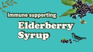 Easy Elderberry Syrup  Gut Healing Elderberry Gummy Recipe [upl. by Fogarty]