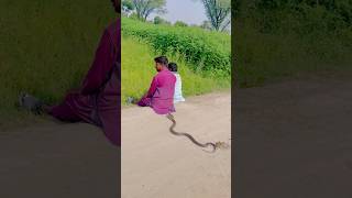 saanp Oye snake the attack 😱😱 [upl. by Lamarre480]