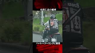 【ハーレー】小沢仁志が愛車レディー・アルカディア号に初試乗 [upl. by Yeargain]