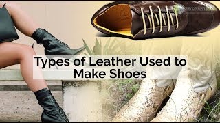 Types of Leather Used to Make Shoes [upl. by Aubine]