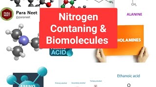 Nitrogen containing compounds and Biomolecules [upl. by Leciram]