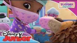 Doctora Juguetes Momentos Mágicos  Stanley  Disney Junior Oficial [upl. by Aryc]