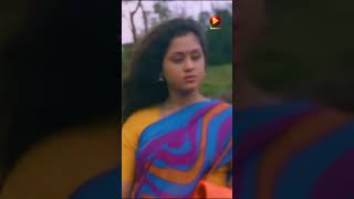 Olachangaali  Kinnarippuzhayoram  KS Chithra  M G Sreekumar  Sreenivasan SongOfTheDay [upl. by Eanerb]