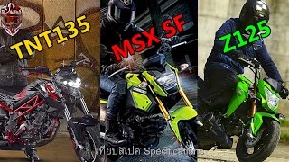 Ep2 เทียบทุกช็อต TNT135 vs MSX SF vs Z125 Pro  MZ Crazy Cars [upl. by Loseff728]