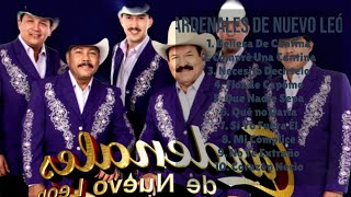 Cardenales De Nuevo LeónAlltime favorites of 2024Premier Tunes PlaylistAlike [upl. by Jar]