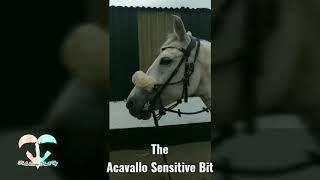 Acavallo Sensitive Bit Review [upl. by Nnylidnarb827]