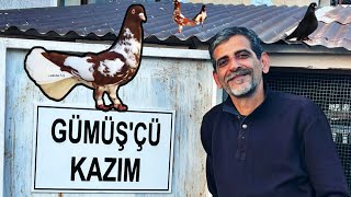 GÜMÜŞÇÜ KAZIMIN ELVAN GÜVERCİNLERİ [upl. by Judson]