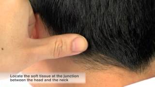 Self Massage Techniques For Headache [upl. by Boffa429]