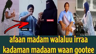 afaan madaam walaaluu irraa kadama madaami waan gootee [upl. by Acissej]