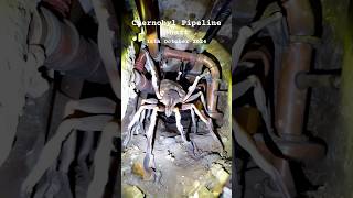 Chernobyl’s Creepiest Secret Massive Spider Encounter urbanlegends scary creepy spider [upl. by Etz]