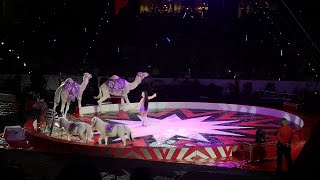 Moolah Shrine Circus St Louis 2023 Perfect family fun for All Ages [upl. by Lichtenfeld]