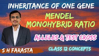 Inheritance of One geneMendel monohybrid ratioAlleles Test cross Class 12SciFlix345 [upl. by Atsok]