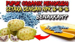 BENARKAH PUPUK MENGKUDU SETARA DENGAN NPK 161616 CEK DISINI  GAK SAMPAI 1 MENIT MEMBUAT PUPUK [upl. by Atteloj311]