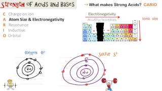 Relative Strength of Acids and Bases [upl. by Broome]