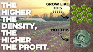 Small Farm Big Profits Master the Art of HighDensity Farming CVR Series 2 of 5 [upl. by Holly]