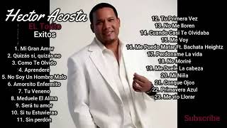 El torito Hector acosto 23 canciones de exito bachata mix [upl. by Lechar266]