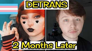 My 2Month Detransition What’s Changed [upl. by Pazia]