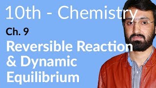 Class 10 Chemistry Chapter 9Reversible Reaction Dynamic Equilibrium10th Class Chemistry Chapter 1 [upl. by Jinny720]