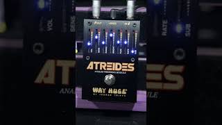 Way Huges Atreides Analog Weirding Module  BIG Sound [upl. by Amieva]