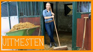 Stal uitmesten  PaardenpraatTV [upl. by Peskoff]