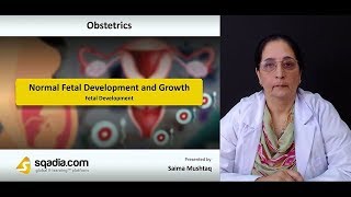 Normal Fetal Development and Growth  Obstetrics  Video Lectures  VLearning [upl. by Nial271]