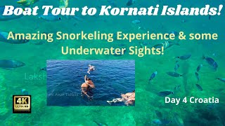 Kornati Islands Croatia  Boat tour to Kornati  Awesome Snorkeling Experience amp Underwater sights [upl. by Akimas480]