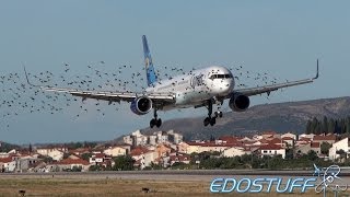 A Large Flock of Birds and A Incoming Boeing 757 [upl. by Quirk516]