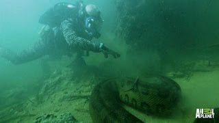 Bone Crusher  How to Catch an Anaconda  River Monsters [upl. by Broome]