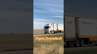 Cool Freightliner Argosy Cabover Dromedary [upl. by Arelc824]