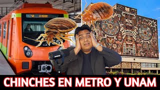 CHINCHES en la UNAM METRO CETIS Y EN TODA CIUDAD DE MÉXICO  CDMX CON CHINCHES [upl. by Tisbe]