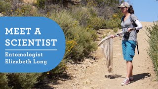 Meet a Scientist NHM Entomologist Elizabeth Long [upl. by Ezra]