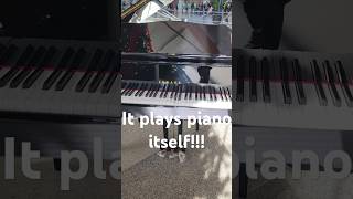 Talking pianos be like piano [upl. by Urd]