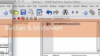 SPSS Mittlewerte und Streuungsmasse [upl. by Anahcra197]