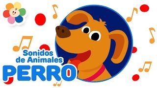 Aprende Los Sonidos de Animales  El Perro  Canciones Infantiles del Sonido de Animales  BabyFirst [upl. by Ming516]