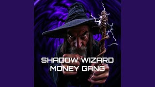 Shadow Wizard Money Gang [upl. by Terrene688]