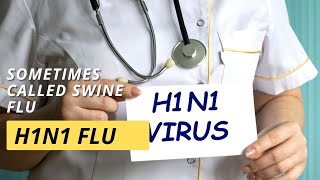 H1N1 flu swine flu [upl. by Golanka]