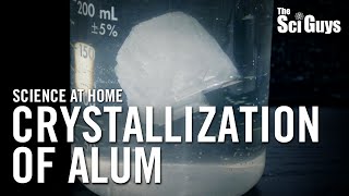 The Sci Guys Science at Home  SE1  EP6 Crystallization of Alum  How to Grow Alum Crystals [upl. by Nevak]