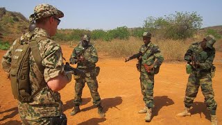 EU halts military training for Malian troops [upl. by Francesco]