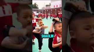 Chinese Kung Fu Masters Are Made Through Years of Hard Training from a Young Age 💪 [upl. by Eihtur]