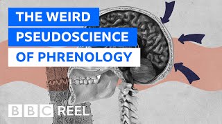 Phrenology The weirdest pseudoscience of them all  BBC REEL [upl. by Sethi]