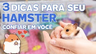 3 DICAS PARA FAZER SEU HAMSTER CONFIAR EM VOCÊ 🐹🥰 [upl. by Bang769]