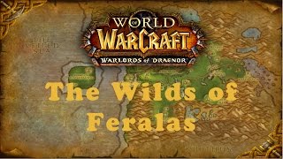 World of Warcraft Quest The Wilds of Feralas Alliance [upl. by Linzer]