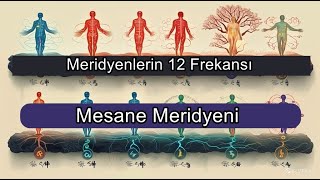 Mesane Meridyeni  Binaural  Isochronic  Enerji Frekansı [upl. by Nahshunn]